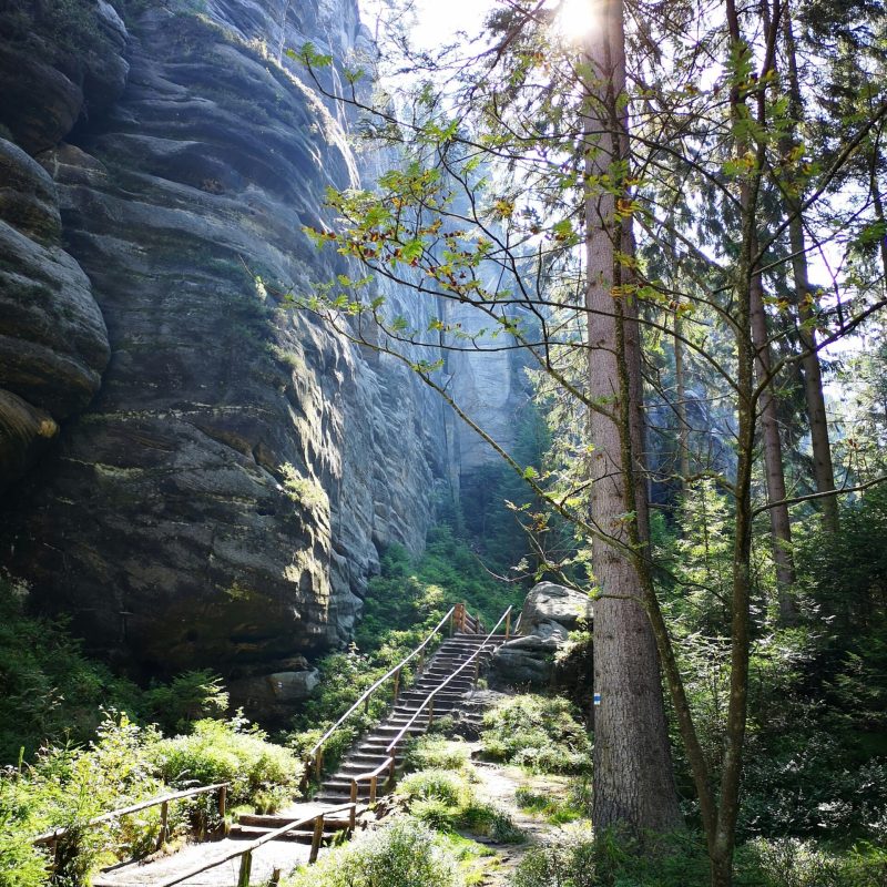 dmitry-rodionov-nq4RabuW9UE-unsplash