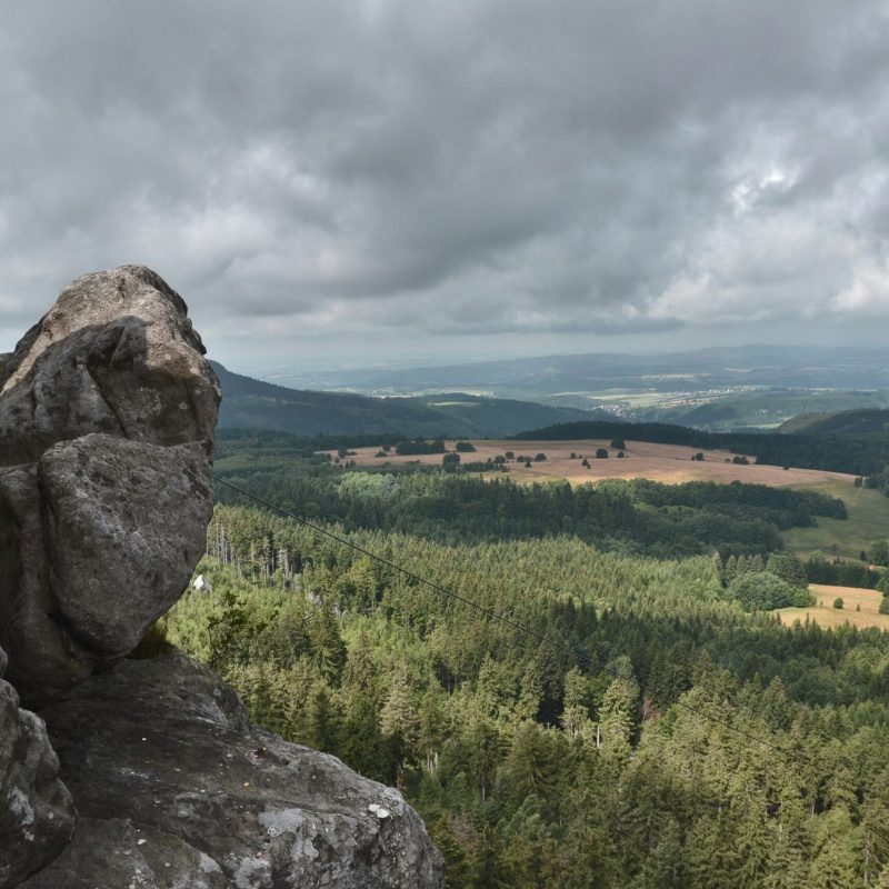 weronika-romanowska-pxXf8Tr0w_U-unsplash